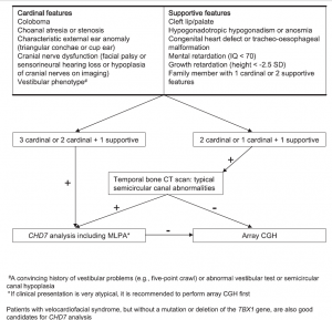 CHD7 Analysis Guideline