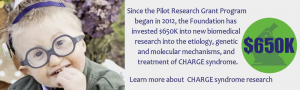 Since the Pilot Research Grant Program began in 2012, the Foundation has invested $500K into new biomedical research into the etiology, genetic and molecular mechanisms, and treatment of CHARGE syndrome.