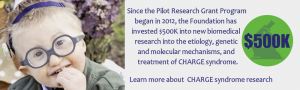 Since the Pilot Research Grant Program began in 2012, the Foundation has invested $500K into new biomedical research into the etiology, genetic and molecular mechanisms, and treatment of CHARGE syndrome.