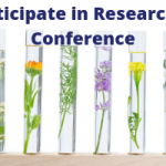 Research at Conference