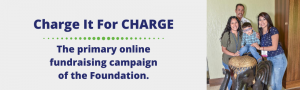 Charge It for CHARGE