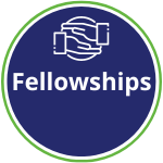 Fellowships