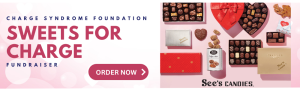 Sweets for CHARGE Fundraiser. Image shows valentine's day chocolate boxes.