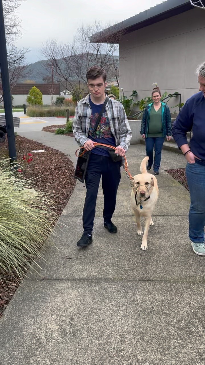A young man walks a golden retriever on a leash