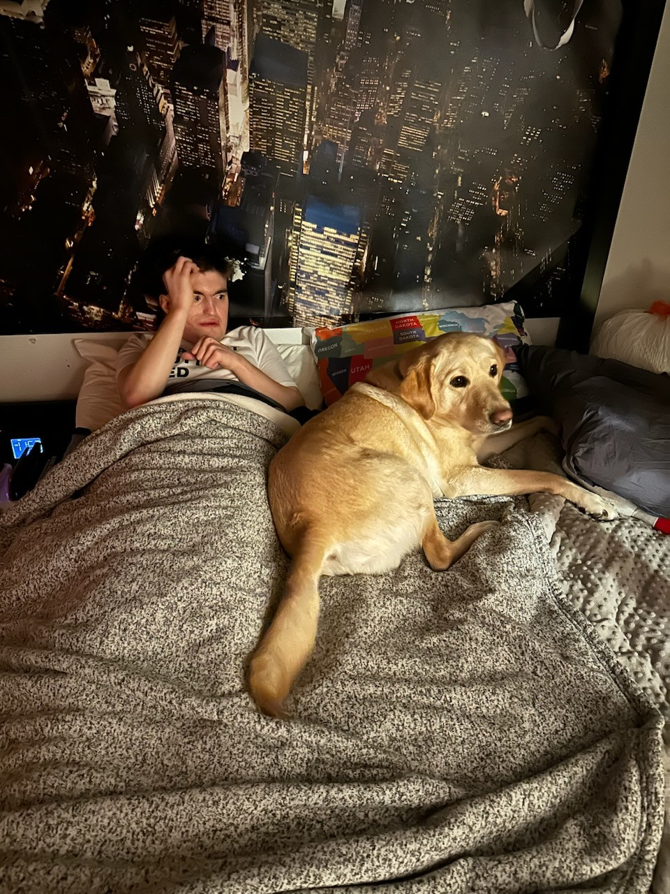 Young man lies in bed with a golden retriever