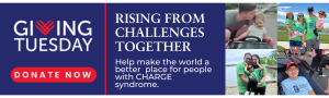 Giving Tuesday 2024