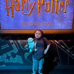 A young boy with CHARGE syndrome poses holding a Hedwig owl in front of the Harry Potter exhibit sign
